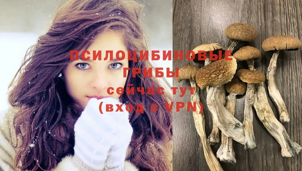 дживик Арсеньев